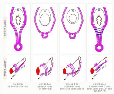 女人世界的私密整形!