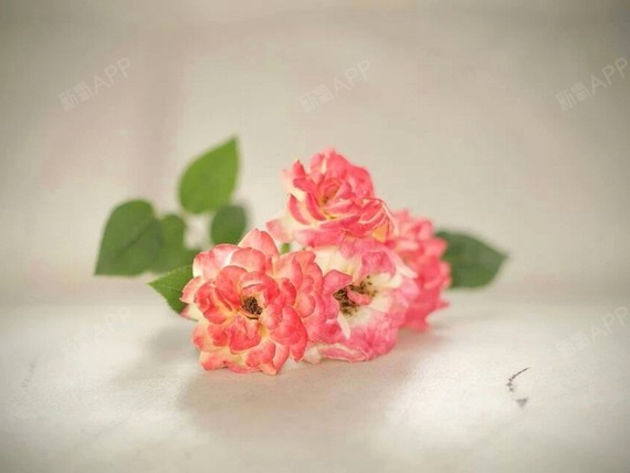 有人了解福建的新开元和修志夫两家医院吗