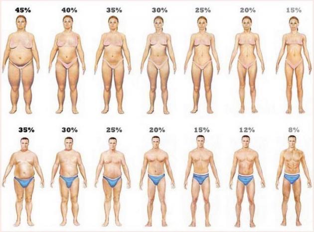 体型与脂肪的关系,估量一下自己身上有多少脂肪?