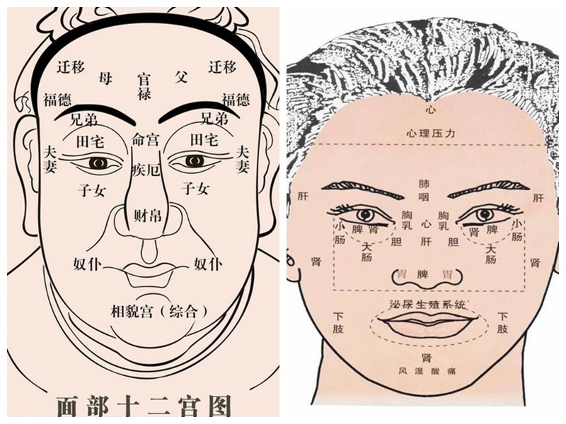 有一句话我很喜欢:善良的人才会有一双温柔的眼睛.