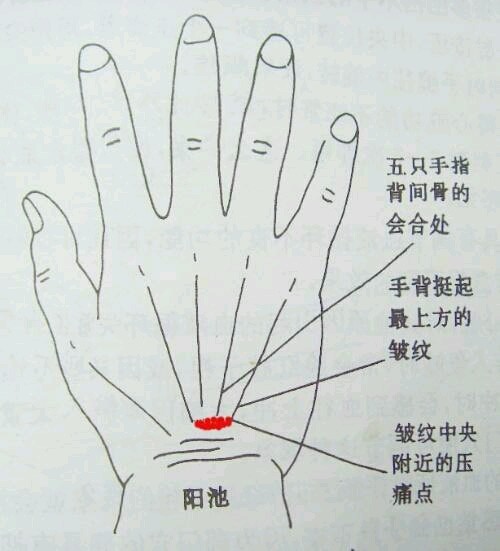 手脚冬天冰凉夏天发热_如何促进血液循环使手脚不冰凉_头冰凉手脚发麻