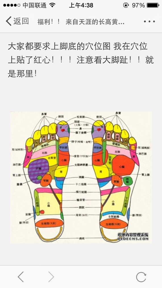 鹿鹿圆滚滚_ei4e3美丽日记
