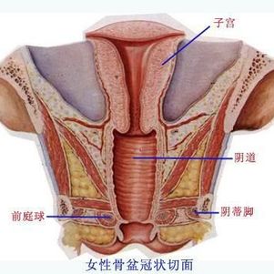 b北京同城免费整形