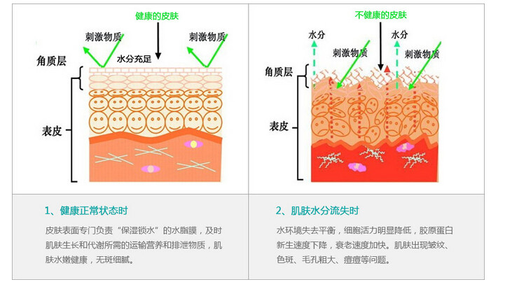 【美白嫩肤】深层补水 水嫩皮肤